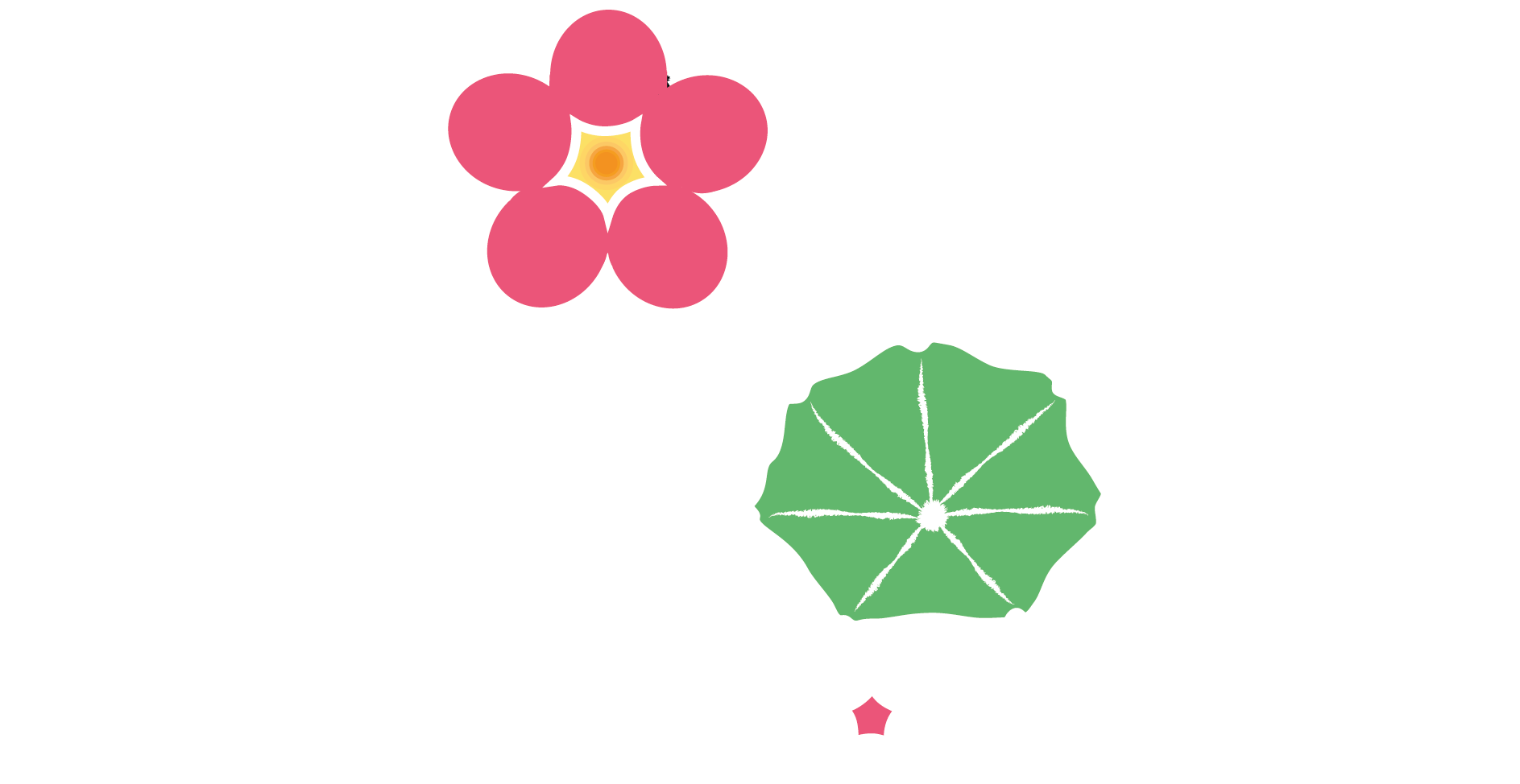 light logo